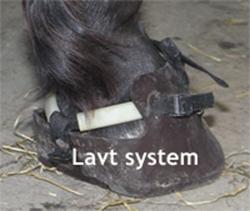 Beskrivelse: Beskrivelse: Beskrivelse: boot_low_sys_200_web