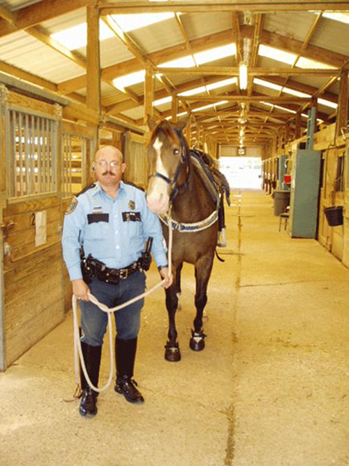 Beskrivelse: Beskrivelse: Beskrivelse: mounted_police_houston_web