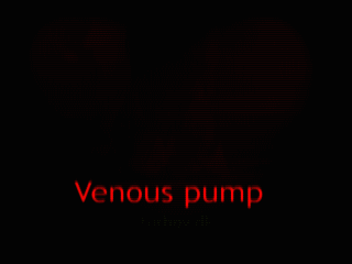 Beskrivelse: Beskrivelse: Beskrivelse: Beskrivelse: Beskrivelse: Beskrivelse: Beskrivelse: Venous_pump