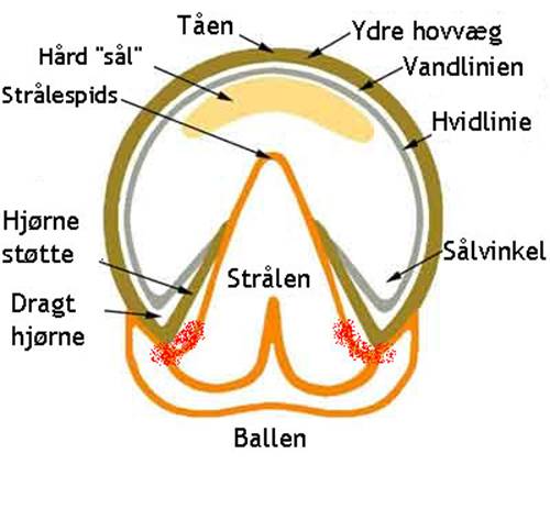 Beskrivelse: Beskrivelse: Beskrivelse: Beskrivelse: Beskrivelse: Beskrivelse: Beskrivelse: image004